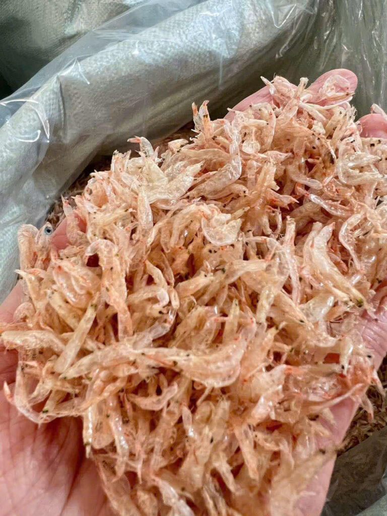 Sea Food
