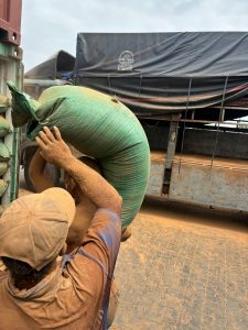 vietnam joss powder